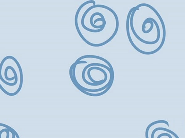 Lees meer