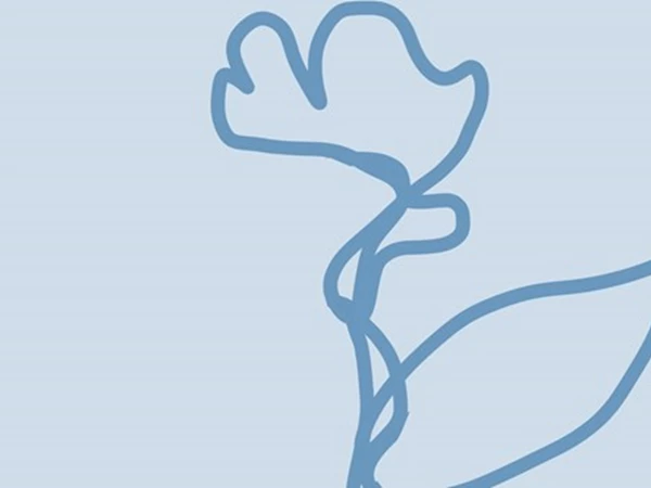 Lees meer