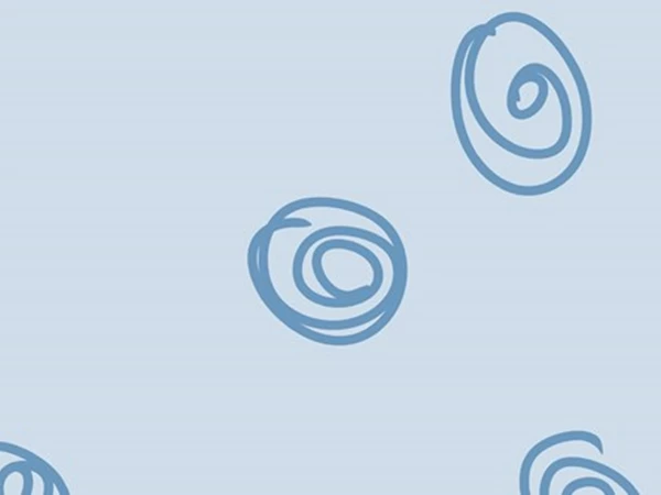 Lees meer